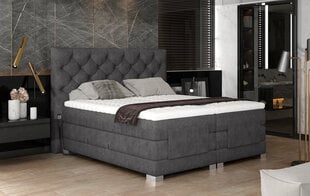 Электрическая кровать NORE Clover 04, 180x200, серая цена и информация | Кровати | hansapost.ee