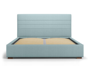 Кровать Interieurs 86 Ilena 160x200 см, светло-синяя цена и информация | Кровати | hansapost.ee