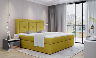 Кровать NORE Idris 22, 160x200 см, желтая цена и информация | Кровати | hansapost.ee