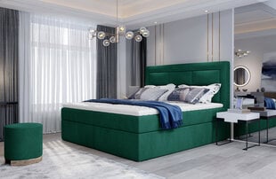 Кровать NORE Vivre 12, 160x200 см, темно-зеленая цена и информация | Кровати | hansapost.ee