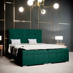 Кровать Selsey Bongiorno 140x200 см, зеленая цена и информация | Кровати | hansapost.ee