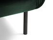 Diivan Cosmopolitan Design Vienna 4S, roheline veluur hind ja info | Diivanvoodid ja diivanid | hansapost.ee
