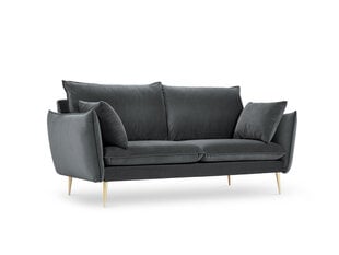 Двухместный бархатный диван Milo Casa Elio, серый/золотистый цена и информация | Диваны | hansapost.ee