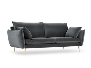 Четырехместный бархатный диван Milo Casa Elio, серый/золотистый цена и информация | Диваны | hansapost.ee