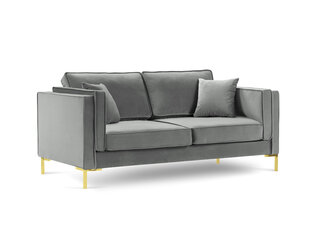 Двухместный бархатный диван Milo Casa Giuseppe, светло-серый цена и информация | Диваны | hansapost.ee