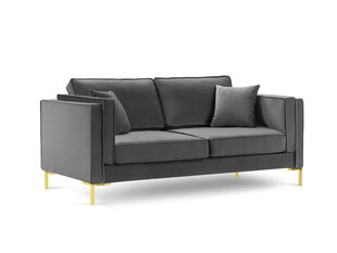 Двухместный бархатный диван Milo Casa Giuseppe, серый цена и информация | Диваны | hansapost.ee