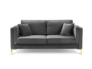 Двухместный бархатный диван Milo Casa Giuseppe, серый цена и информация | Диваны | hansapost.ee