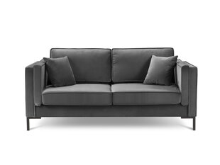 Двухместный бархатный диван Milo Casa Luis, серый цена и информация | Диваны | hansapost.ee
