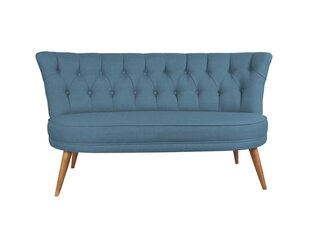 Мягкий диван Artie Richland Loveseat, синий цена и информация | Диваны | hansapost.ee