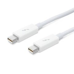 Apple Thunderbolt Cable (0.5 m, white) - MD862ZM/A цена и информация | Кабели и провода | hansapost.ee