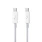 Apple Thunderbolt Cable (0.5 m, white) - MD862ZM/A цена и информация | Juhtmed ja kaablid | hansapost.ee