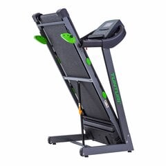 Беговая дорожка Tunturi Cardio Fit T30 цена и информация | Беговые дорожки | hansapost.ee