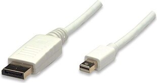 Кабель источников Techly Mini-DisplayPort к DisplayPort M/M 1M белый цена и информация | Кабели и провода | hansapost.ee