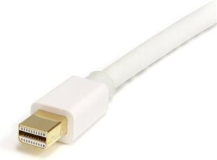 StarTech, DisplayPort Mini - DisplayPort, 2 m hind ja info | StarTech Kodumasinad | hansapost.ee