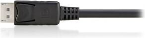 Equip DisplayPort 20-Pin, 3 м цена и информация | Кабели и провода | hansapost.ee