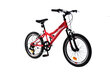 Noorukite jalgratas N1 Junior 20", korall цена и информация | Jalgrattad | hansapost.ee