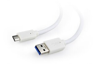 Gembird CCP-USB3-AMCM, USB-A/USB-C, 3 м цена и информация | Кабели и провода | hansapost.ee