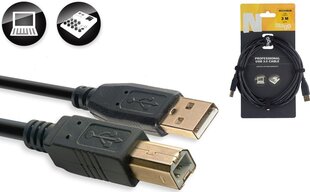 Stagg, USB-A/USB-B, 3 м цена и информация | Кабели и провода | hansapost.ee