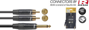 Stagg REAN 2 x RCA/m - 6.35 мм TS/м 10cм цена и информация | Кабели и провода | hansapost.ee