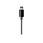 Apple Lightning to 3.5mm Audio Cable - MR2C2ZM/A цена и информация | Mobiiltelefonide kaablid | hansapost.ee