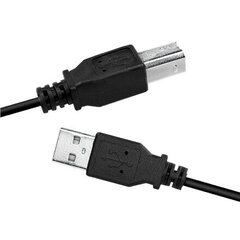 Logilink USB cable USB 2.0 A to B 2x mal цена и информация | Кабели и провода | hansapost.ee
