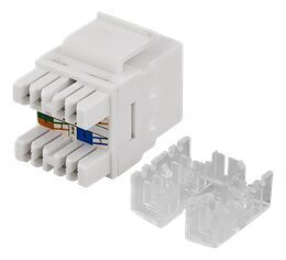 Deltaco MD-110, RJ45 UTP цена и информация | Кабели и провода | hansapost.ee