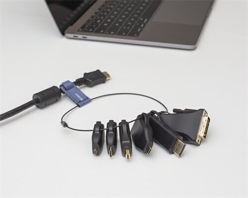 Deltaco HDMI-AR2, HDMI, DVI, USB-C, DisplayPort, Mini DisplayPort hind ja info | Juhtmed ja kaablid | hansapost.ee