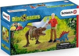 Атака динозавра Tyrannosaurus Rex Dinosaurs Schleich, 41465 цена и информация | Schleich Товары для детей и младенцев | hansapost.ee