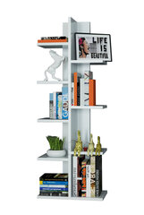 Riiul Kalune Design Tree, valge price and information | Shelves | hansapost.ee