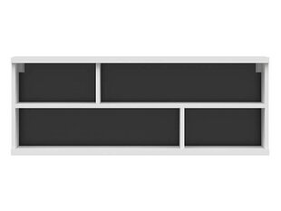 Полка BRW Assen, белая цена и информация | Полки | hansapost.ee