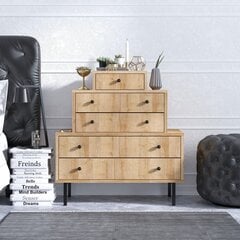 Kummut Kalune Design Dresser 793, pruun цена и информация | Комоды | hansapost.ee