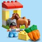 10951 LEGO® DUPLO Tallid цена и информация | Klotsid ja konstruktorid | hansapost.ee