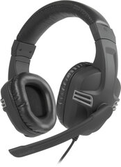 Speedlink headset Versico, black/grey (SL-870001-BKGY-01) цена и информация | Наушники | hansapost.ee