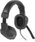 Speedlink kõrvaklapid + mikrofon Versico, must/hall (SL-870001-BKGY-01) hind ja info | Kõrvaklapid | hansapost.ee
