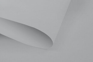 Ruloo Klasika Plius, 100x170 cm цена и информация | Рулонные шторы | hansapost.ee