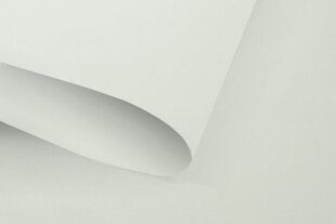 Ruloo Klasika Plius, 160x170 cm цена и информация | Рулонные шторы | hansapost.ee