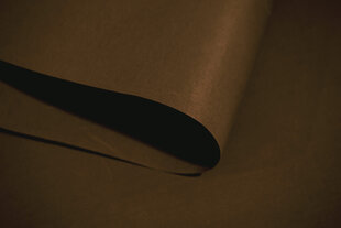 Laekarniis üks PVC rööbas klambritega, 300 cm цена и информация | Рулонные шторы | hansapost.ee