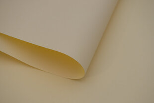 Настенная рулонная штора Dekor 100x170 см, d-18 бежевая цена и информация | Рулонные шторы | hansapost.ee