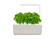 Click & Grow Smart Garden 3 цена и информация | Nutipotid ja taimelambid | hansapost.ee