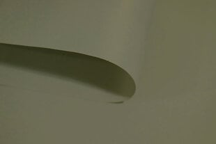 Ролет Mini Decor D 25 СЕРЫЙ, 100x150 см цена и информация | Рулонные шторы | hansapost.ee