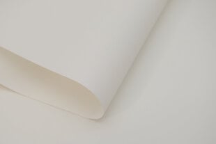 Seinapealne ruloo koos tekstiiliga Dekor 190x170 cm, d-01 valge цена и информация | Рулонные шторы | hansapost.ee
