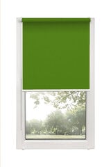 Ролет Mini Decor D 13 Зеленый, 43x150 см цена и информация | Рулонные шторы | hansapost.ee
