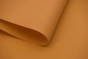 Настенный тканевый ролет Dekor 200x170 см, d-24 коричневый цена и информация | Рулонные шторы | hansapost.ee