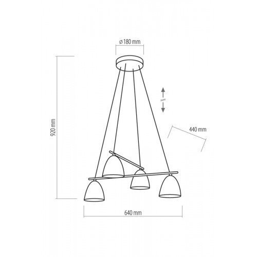 TK Lighting rippvalgusti Aida Black 4 hind ja info | Rippvalgustid | hansapost.ee