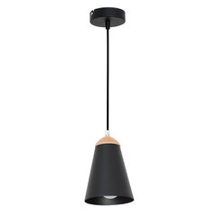 Luminex подвесной светильник Ava цена и информация | Потолочный светильник, 38 x 38 x 24 см | hansapost.ee