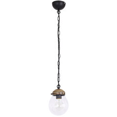 Luminex подвесной светильник Fuerte цена и информация | Потолочный светильник, 38 x 38 x 24 см | hansapost.ee