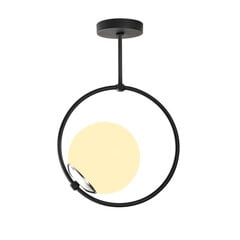 Opviq Подвесной светильник Dolunay - 3901 цена и информация | Потолочный светильник, 38 x 38 x 24 см | hansapost.ee