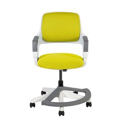 Laste arvutitool Rookee, roheline price and information | Office chairs | hansapost.ee