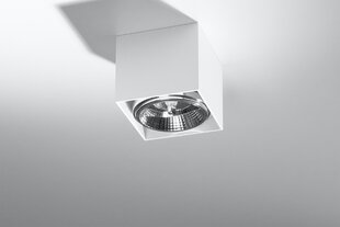 Sollux потолочный светильник Blake White цена и информация | Потолочный светильник, 38 x 38 x 24 см | hansapost.ee