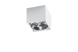 Sollux потолочный светильник Blake White цена и информация | Потолочный светильник, 38 x 38 x 24 см | hansapost.ee